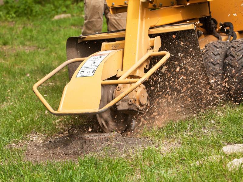 A yellow stump grinder is chipping away a tree stump on a grassy lawn in Lehigh County. Wood chips and debris fly around, showcasing the powerful cutting action provided by this expert tree removal service in the area.