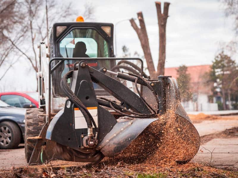 A skid steer loader equipped with a stump grinder is actively grinding a tree stump, scattering wood chips around. Nearby, cars are parked and leafless trees stand in the background, showcasing efficient tree service in Allentown.