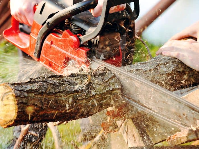 Tree Trimming Services in Lehigh County