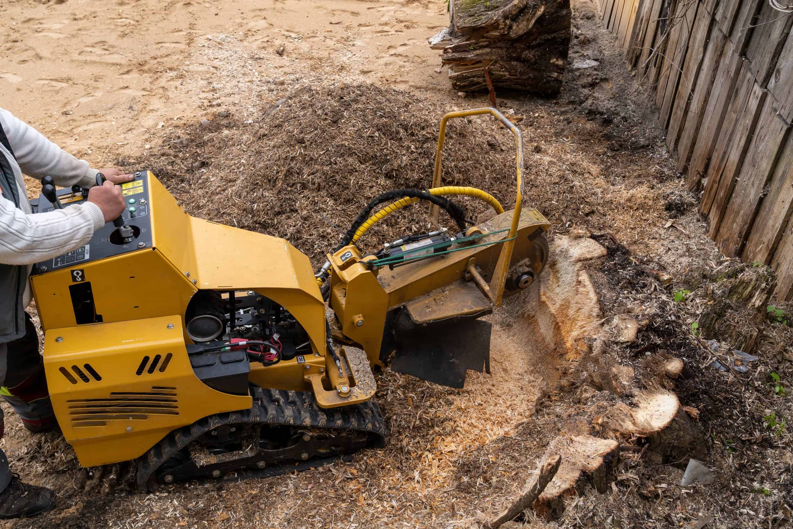 A person operates a yellow stump grinder, expertly performing stump grinding in a garden with wooden fencing in Lehigh County. Sawdust surrounds the machine, highlighting the efficiency of professional tree service in the area.
