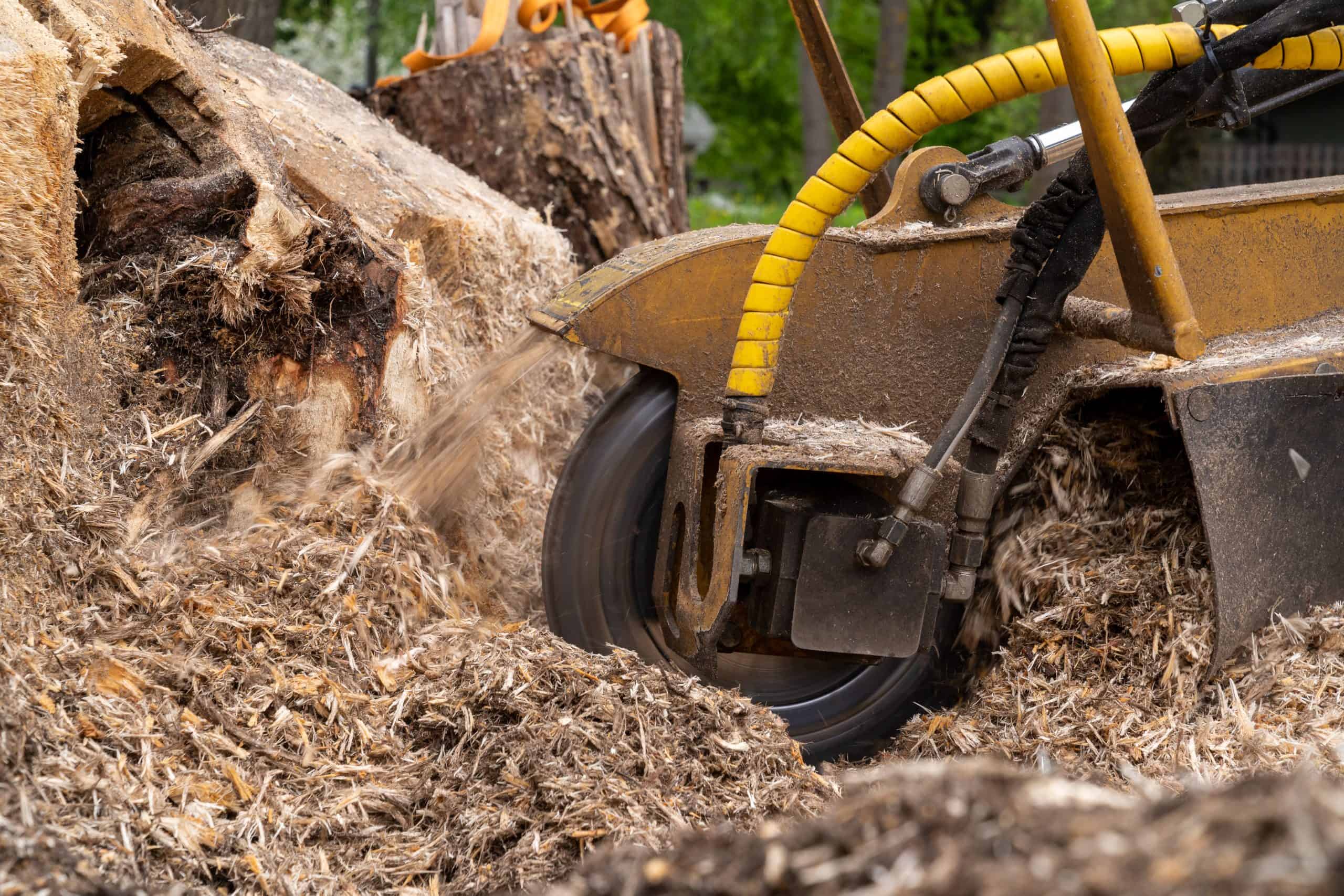 Close-up of a stump grinding machine in action, chipping away at a tree stump. Wood chips and debris scatter around, with the machine's yellow hydraulic arm prominently visible as part of a tree service Lehigh County relies on. Lush green foliage is blurred in the background.
