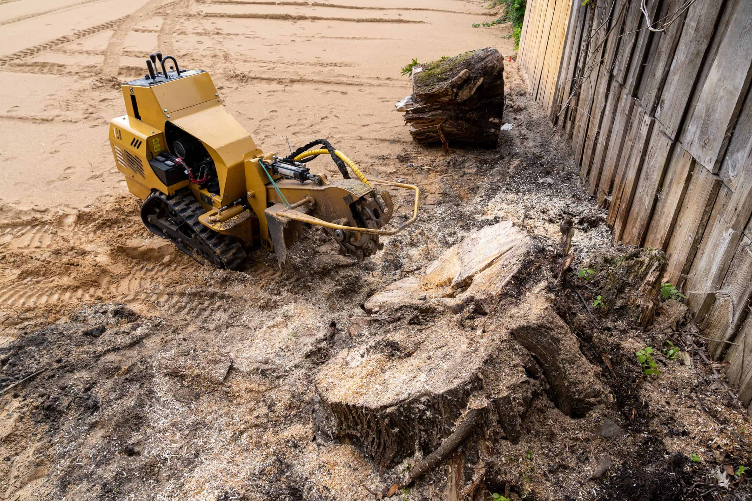 A small, yellow stump grinding machine from a reputable tree service in Allentown is working on a tree stump next to a wooden fence. Sawdust and debris scatter around the area, with tire tracks visible in the sandy ground. A large, severed stump lies nearby.