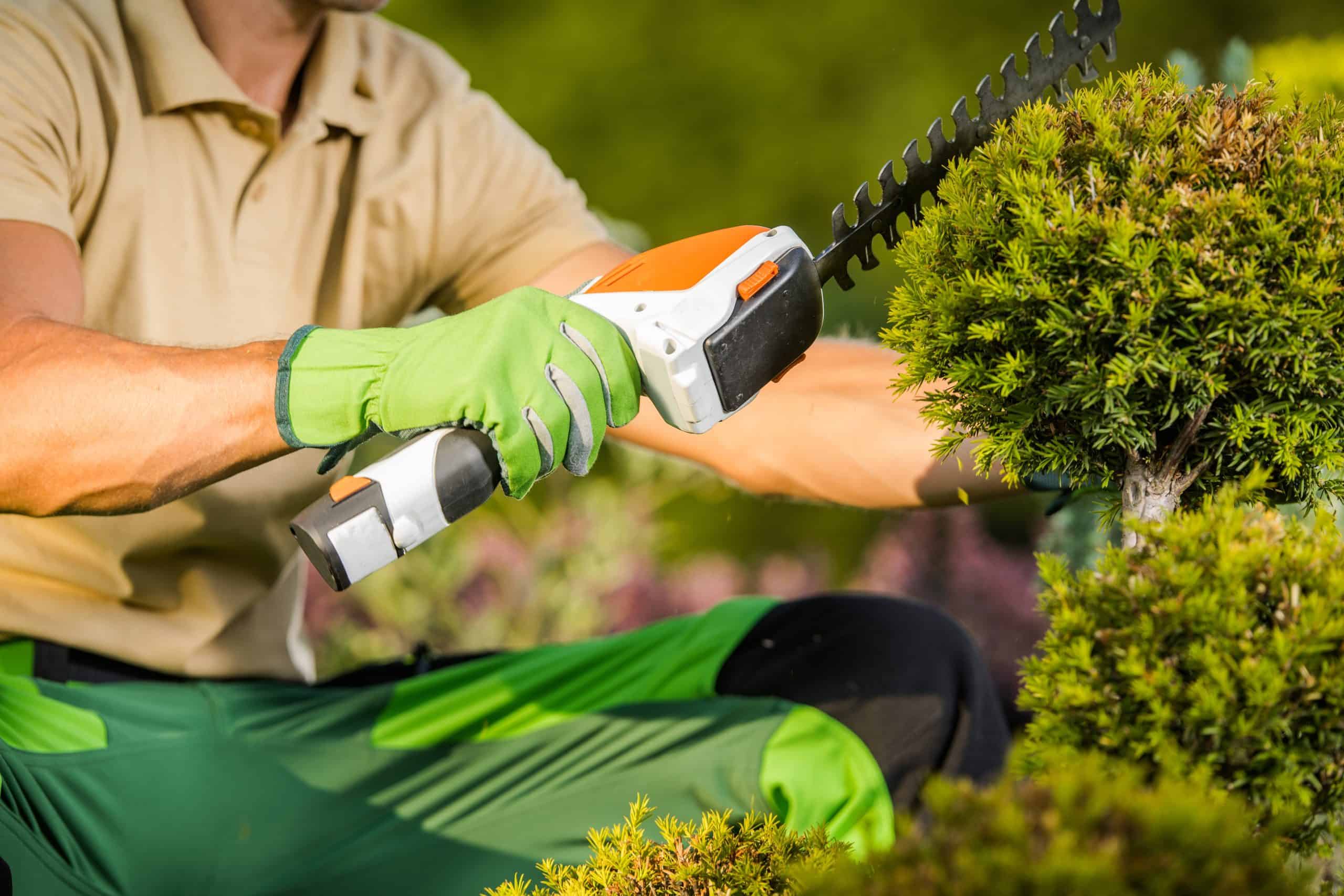 A person in a beige shirt and green gloves expertly uses electric hedge trimmers to shape a bush. The lush, green background hints at a well-maintained garden, reminiscent of the tree service Allentown professionals provide.