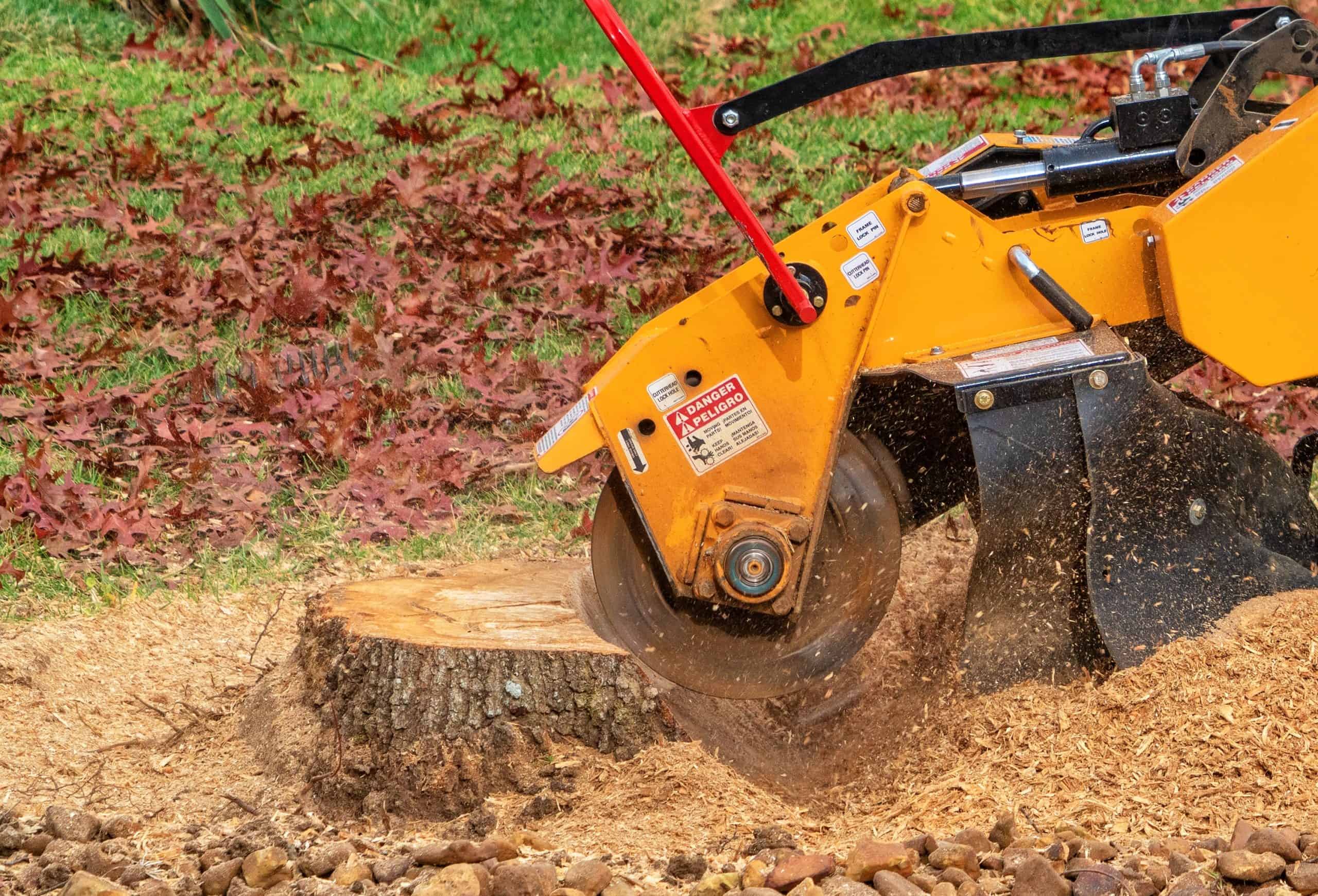 A yellow stump grinder machine is efficiently grinding a tree stump in a garden area, scattering wood chips as its circular blade cuts through. In the background, fallen leaves mingle with green grass, showcasing the expertise of a Lehigh County tree company.