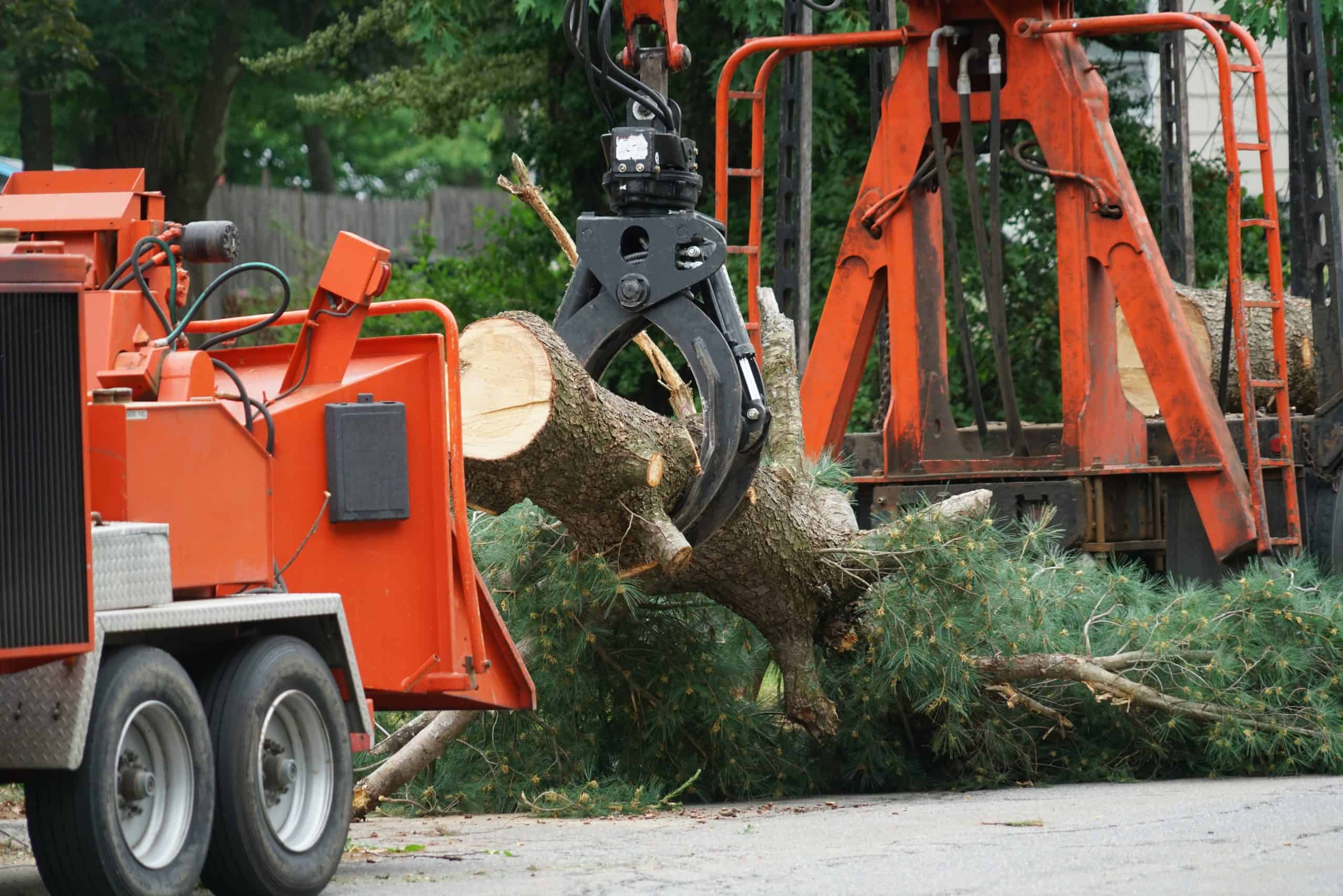 A large tree is being lifted by an industrial grappler on a construction vehicle, illustrating the efficient tree removal Lehigh County relies on. Nearby, an orange wood chipper stands ready to process it. The scene unfolds on a street with lush greenery as the backdrop.