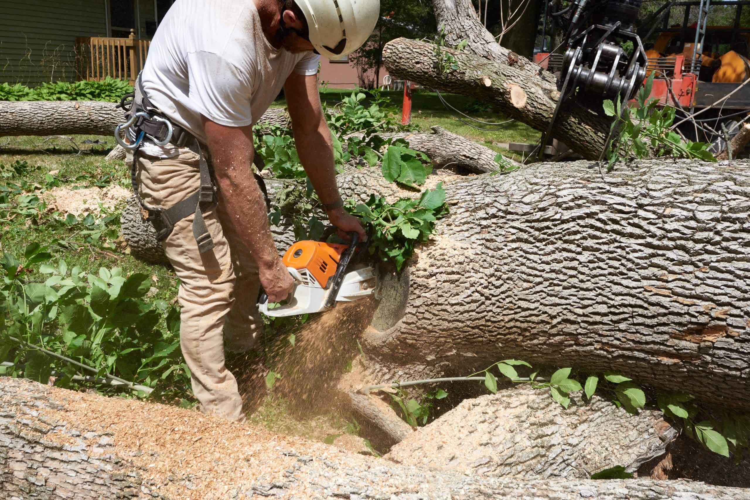 A worker from a Lehigh County tree company, wearing a helmet and safety gear, uses a chainsaw to cut through a large fallen tree trunk in a wooded area. Sawdust flies as the chainsaw slices through the wood, while surrounding greenery and branches form the backdrop.