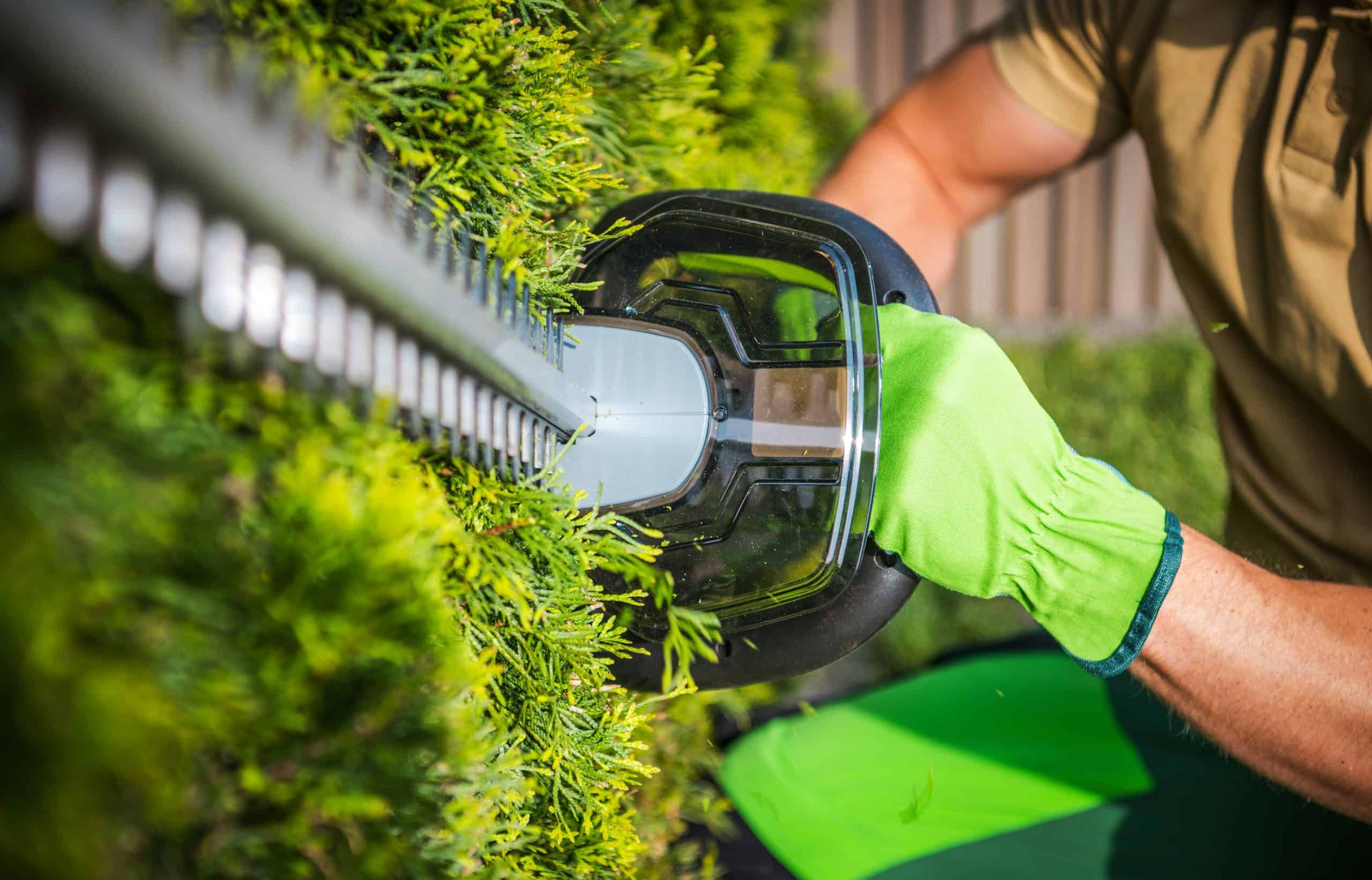 A person wearing bright green gloves is trimming a hedge with an electric trimmer, showcasing the precision and care typical of a professional from a Lehigh County tree company. The focus is on the lush green hedge and the blade, while their skilled hand remains visible in the backdrop.