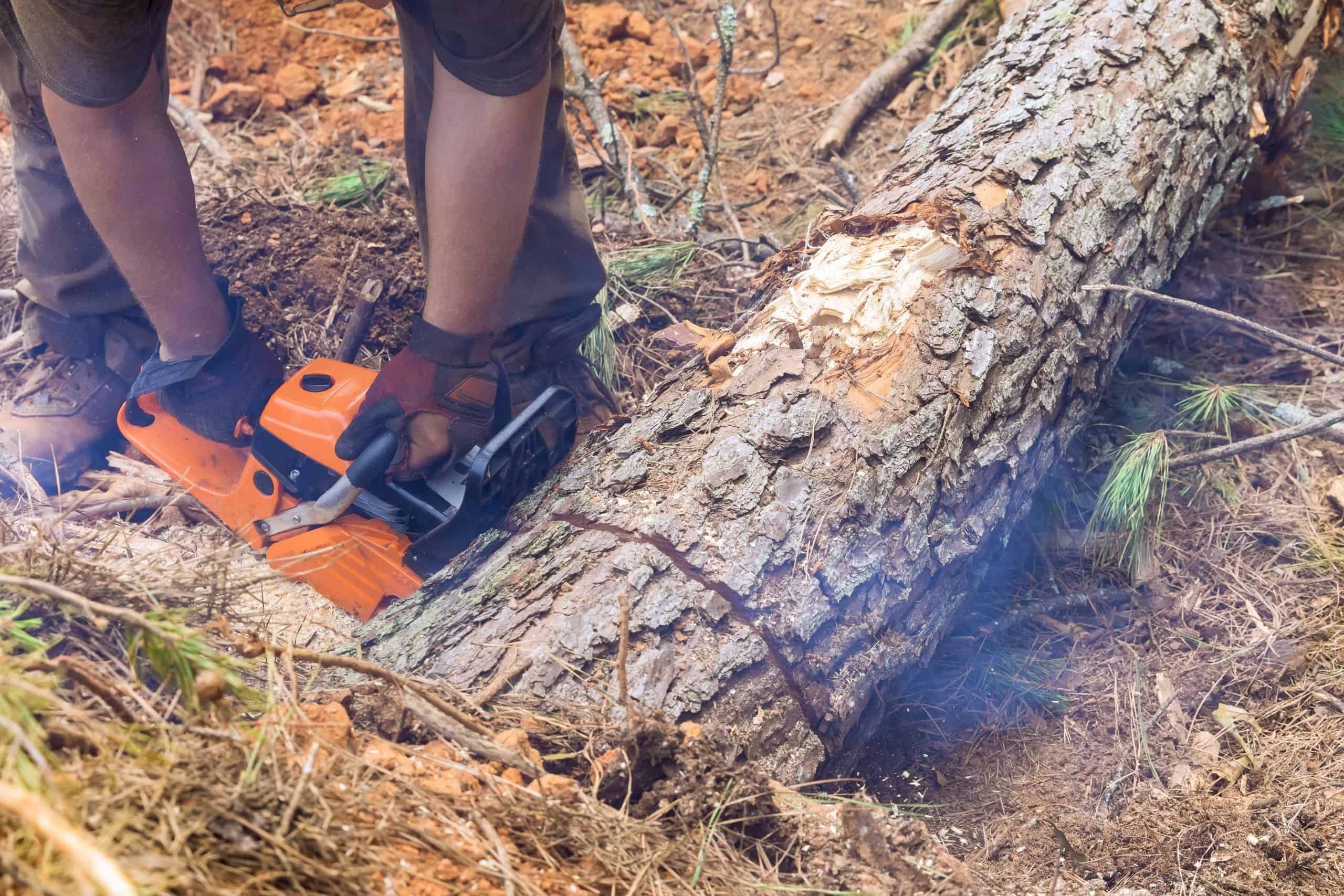 In a forest blanketed with leaves and branches, a person from a Lehigh County tree company skillfully uses an orange chainsaw to cut through a fallen tree trunk. Wearing gloves, they are partially visible from the waist down as they expertly manage the task of tree removal in Lehigh County.